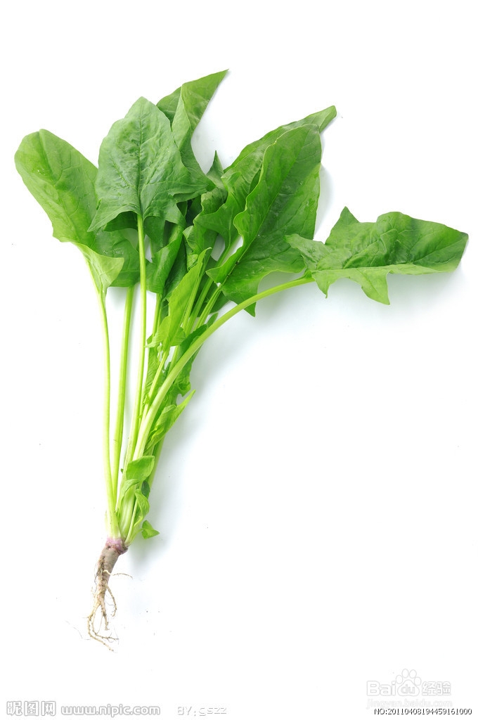 生活中十大护眼蔬菜