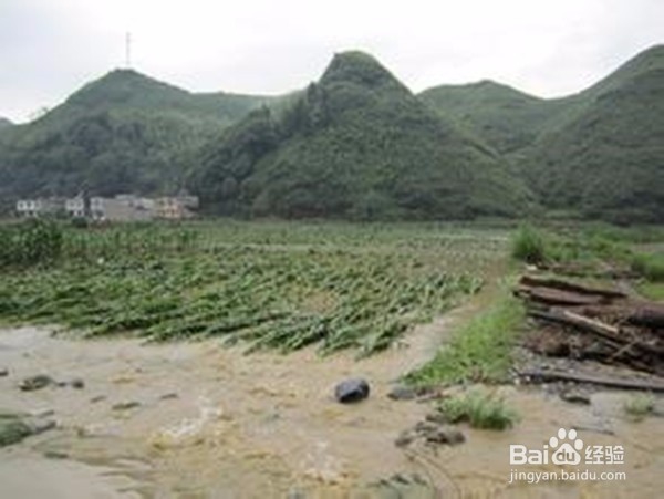 洪水灾害防范——对孩子进行洪水安全教育