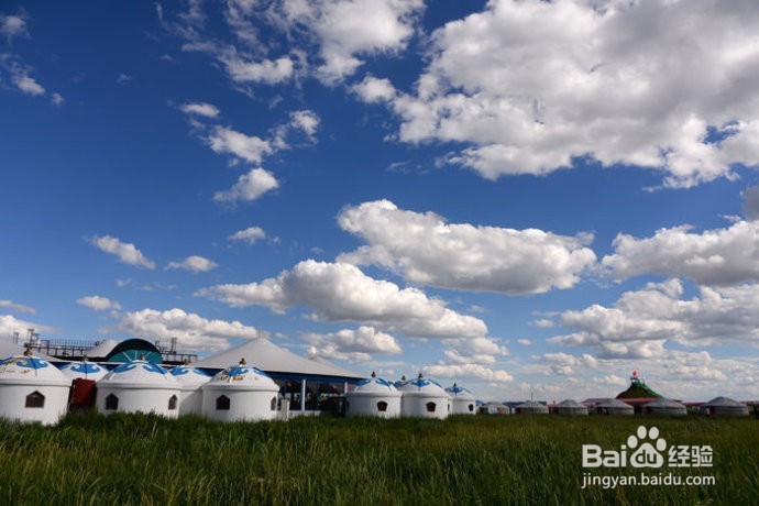 张北坝上草原旅游--住宿--玩乐--团建攻略