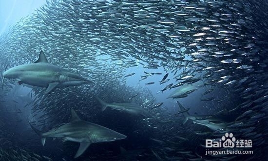 对付头痒的六种办法