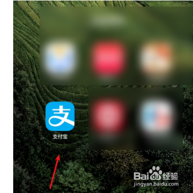 支付宝如何查询身份证名下关联账号