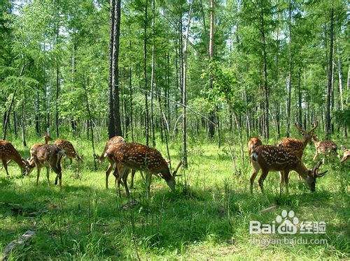 夏天去清远黄腾峡漂流一日游攻略