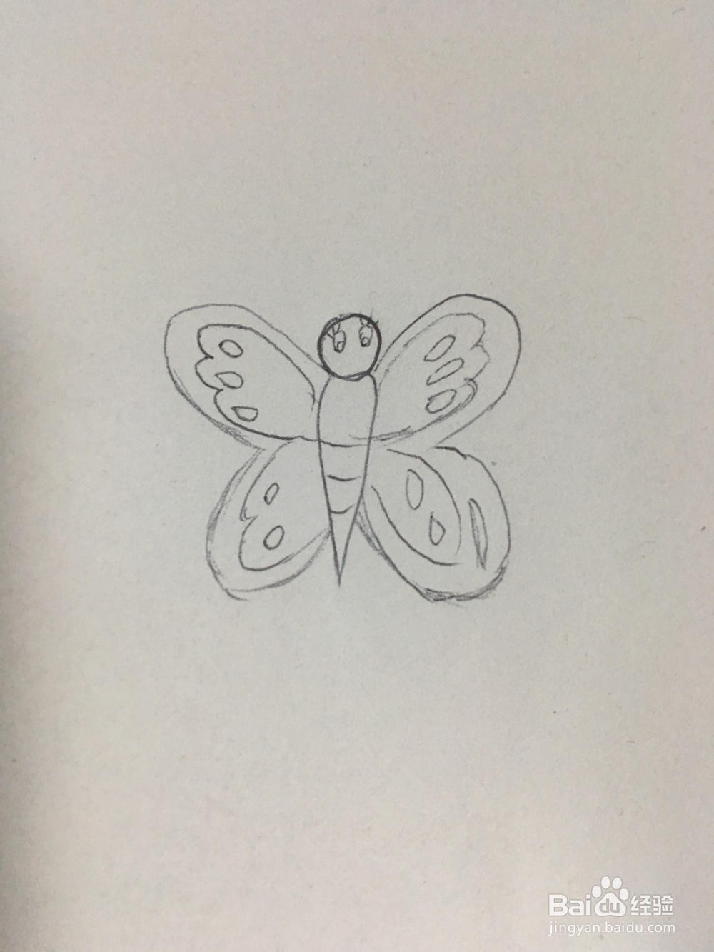 幼儿简笔画：美丽的蝴蝶