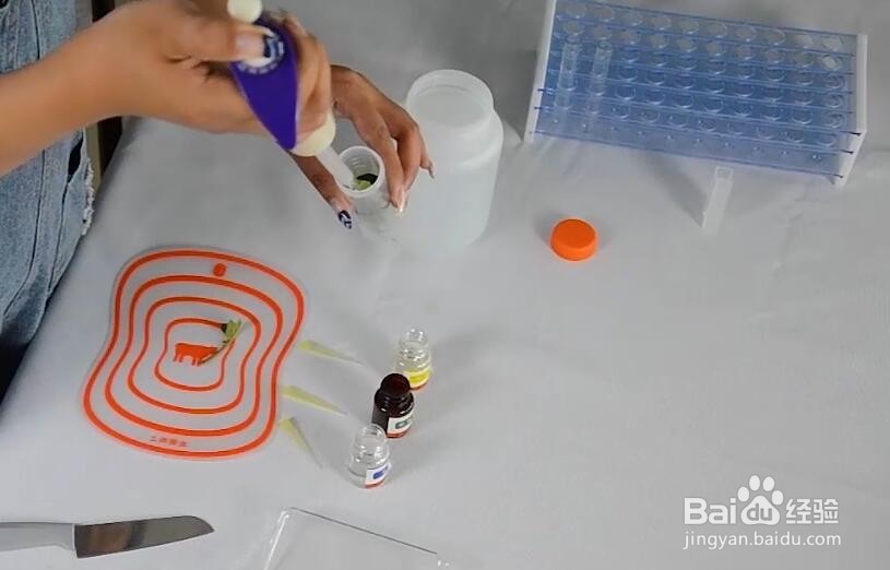 农药残留速测仪怎么用?操作步骤是什么