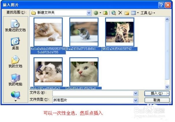 WORD编辑怎么统一图片大小批量设置图片尺寸大小