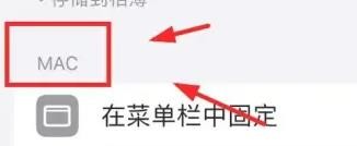 iPhone14如何在菜单中固定MAC选项