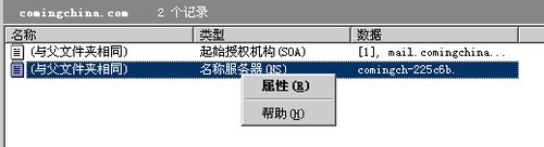 DNS服务器搭建使用手册