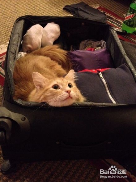 为什么你就是不相信,我不会带你去旅行?