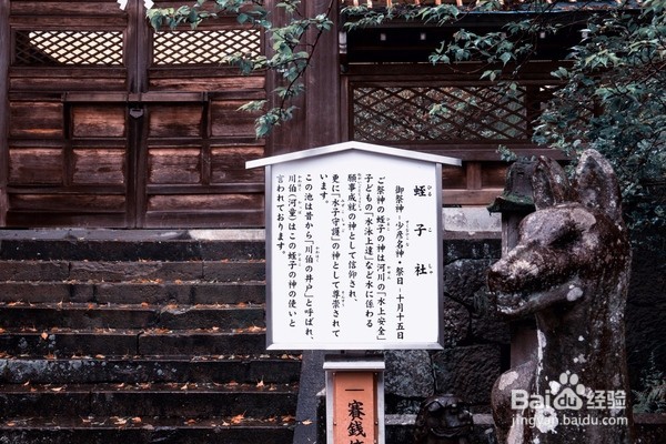 长崎最美神社,四月樱花落了