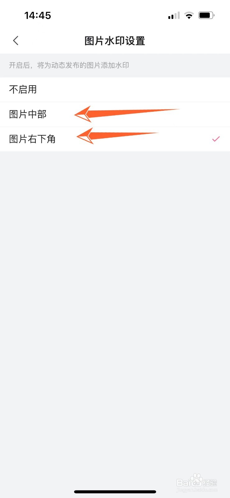 怎么给bilibili动态图添加水印