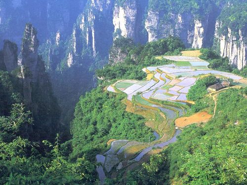 张家界/凤凰自助游攻略