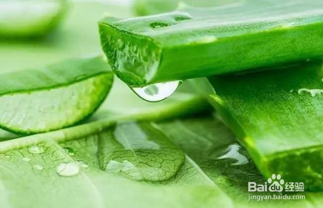 被烫伤怎样不留疤？