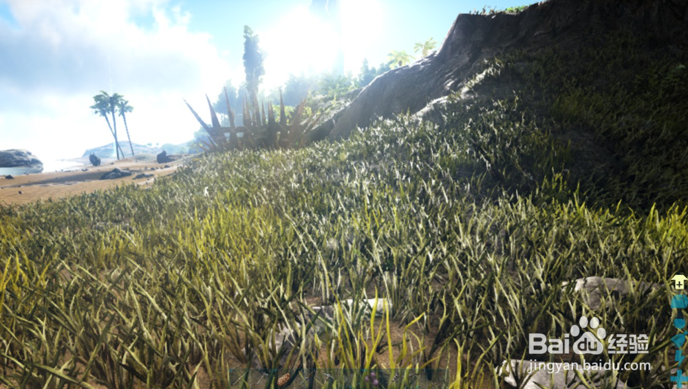 方舟生存进入如何制作麻醉箭