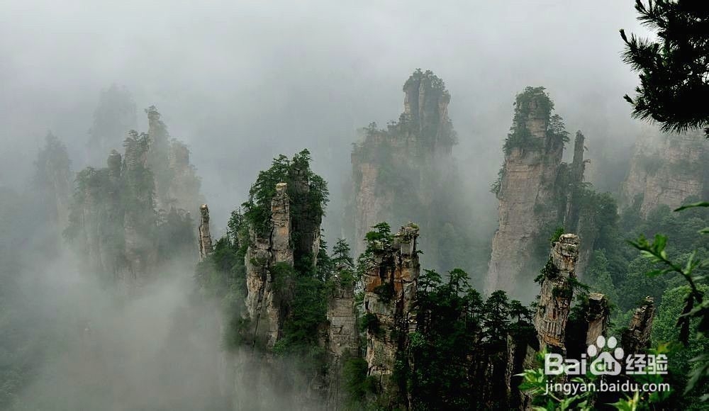 苏州到张家界自助游