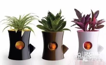 00后竟然用这种花盆,我们都落伍了!