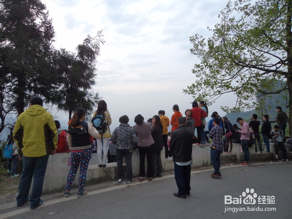 逗比游玩湖南张家界之——张家界国家森林公园