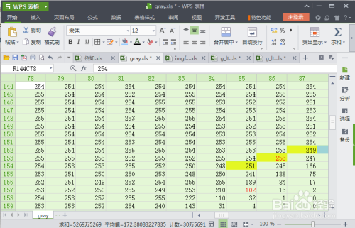 如何手动批量调整Excel表格的行高与列宽