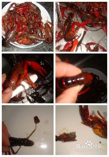 怎么样做麻辣小龙虾