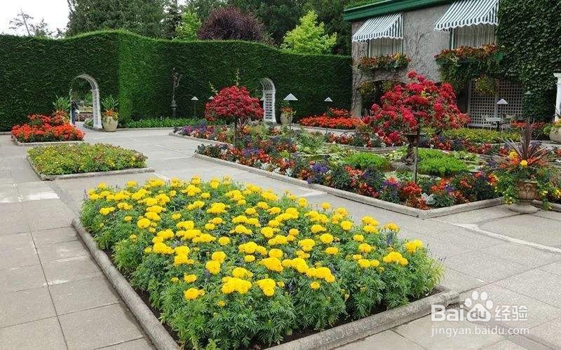 细节处如何设计才能让庭院更精美呢？