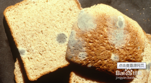 怎么预防食物中毒，食物中毒症状，食物中毒