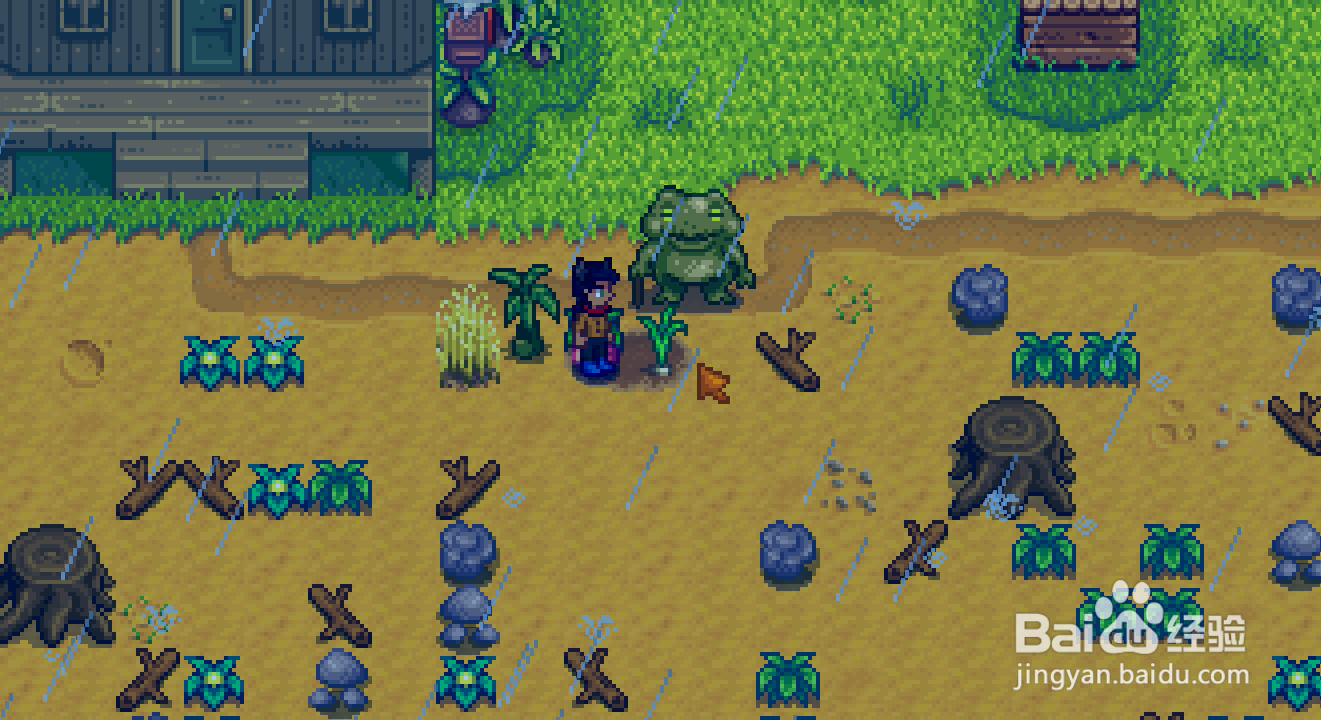 星露谷物语1.5青蛙要种什么