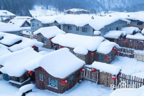 从哈尔滨到雪乡怎么去