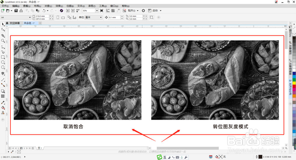 CDR教程：如何把彩色图片修改成黑白图片？