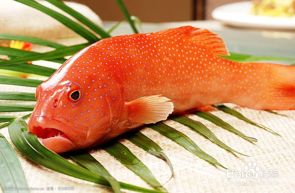 东星斑怎么保存