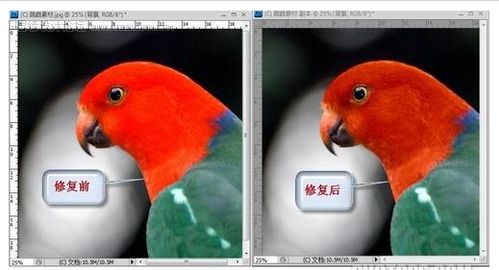 ps教程：用通道混合器还原照片局部细节