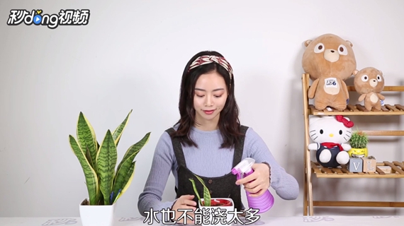 虎皮兰怎么繁殖