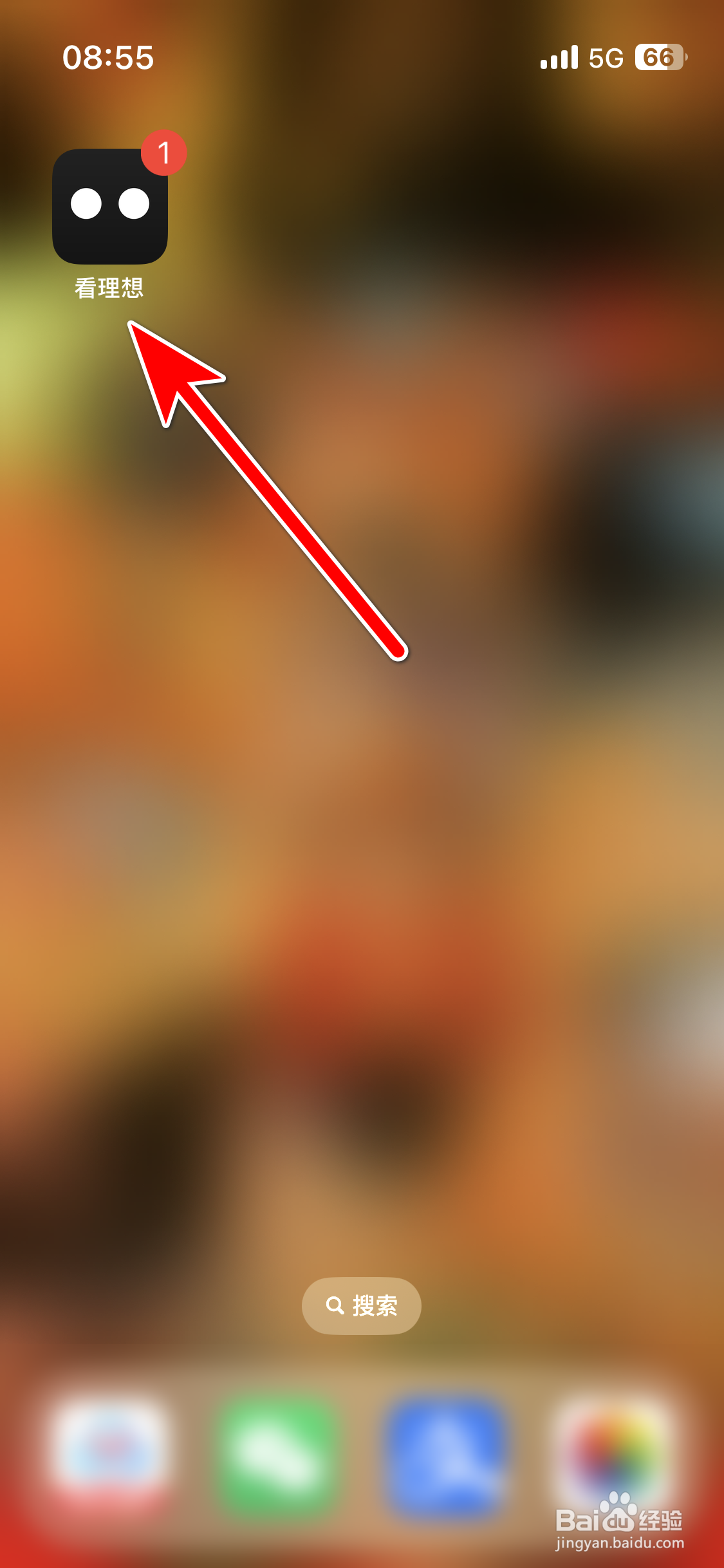 看理想如何查看我的播放记录