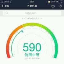 芝麻分分为哪五个等级?