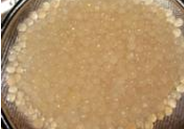 教你做椰汁西米露