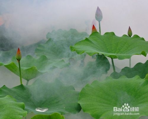 瘦身减肥方法|如何减肥