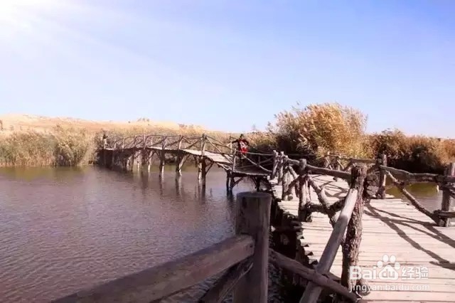 银川去水洞沟旅游的交通路线
