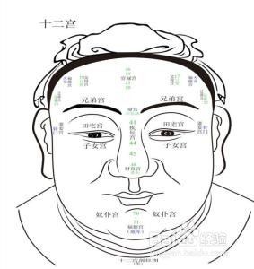 简单教你如何看眼睛识人