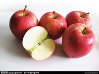 近视吃什么好，视力不好吃什么？2015