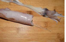 美味的鱿鱼包饭