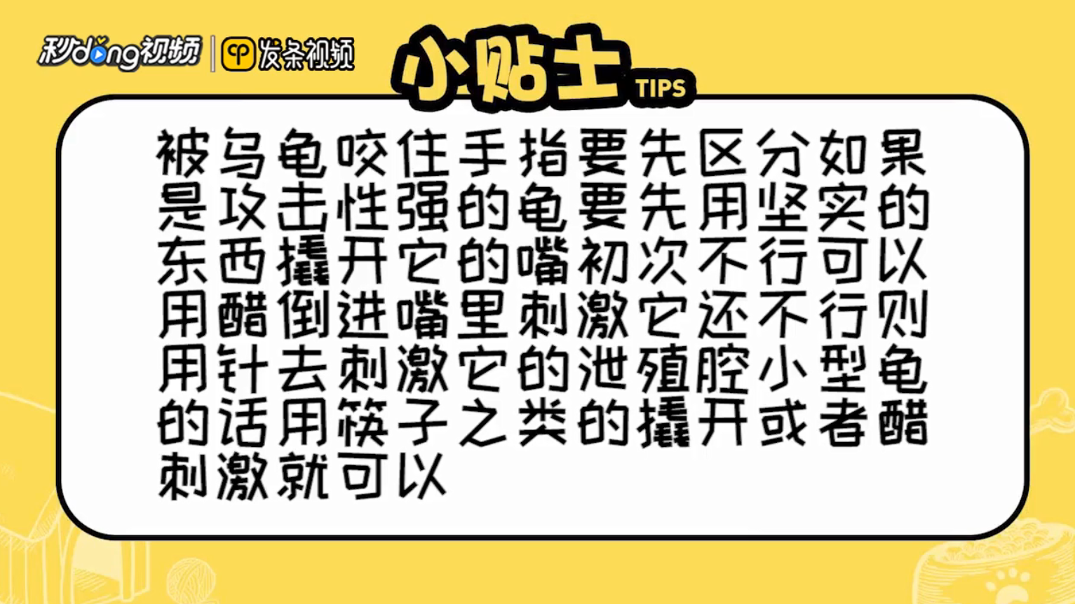 被乌龟咬住了手指怎么办