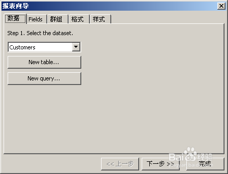 fastreport中文版初级教程之报表向导