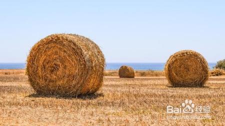 禁止焚烧秸秆，科学依据是什么？