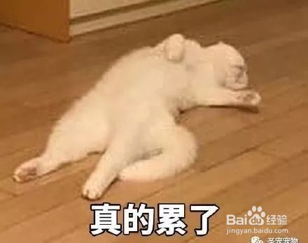 临近期末考试的大学生们,像不像这组颓废表情包?