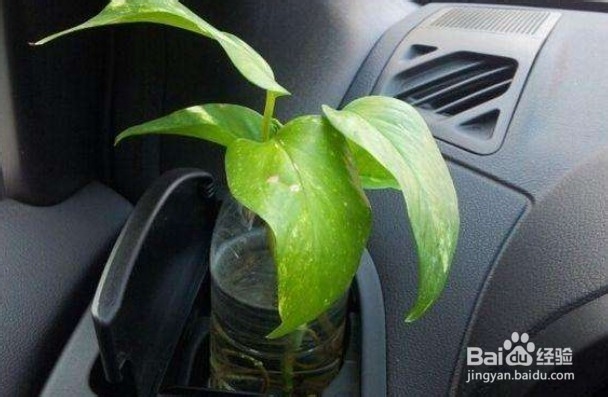 如何去除新车内甲醛？