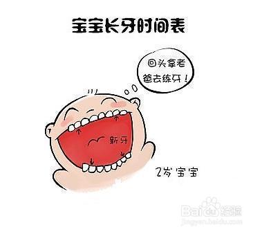 新手父母必看：宝宝长牙的时间及顺序