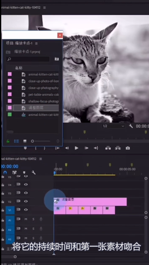 教你pr制作缩放卡点效果