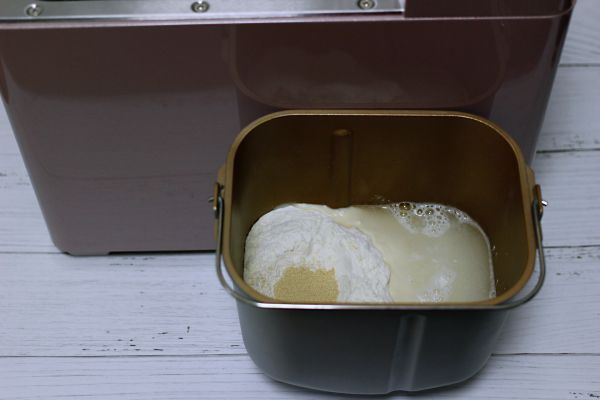 洋葱猪肉香菜发面馅饼