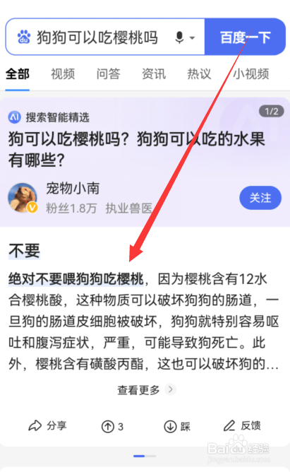 樱桃狗狗可以吃吗