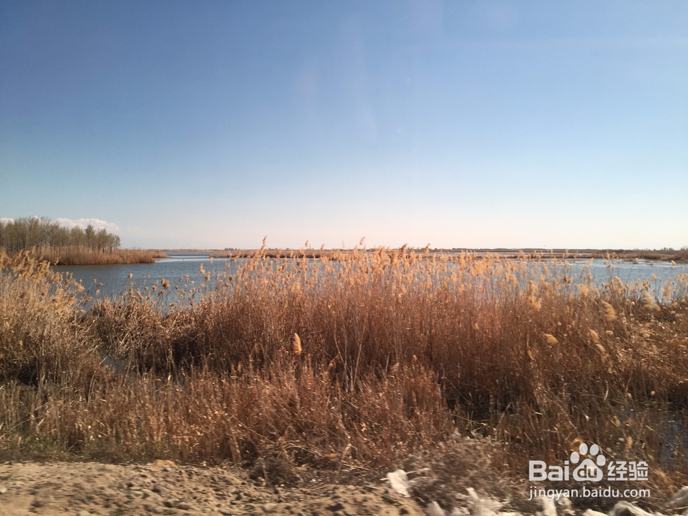 如何坚持完成一件事