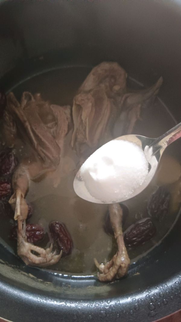 阿胶药膳炖鸽子