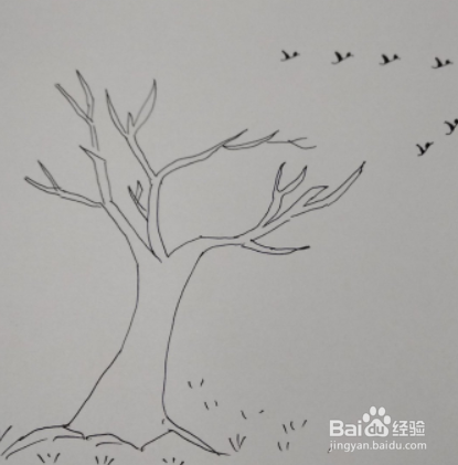 用秋天的叶子做手工